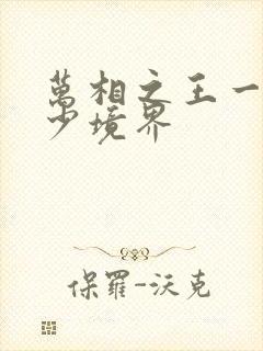 万相之王一共多少境界封面