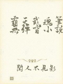 霸天武魂笔趣阁无弹窗小说