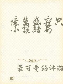 亿万盛宠只为你小说结局封面