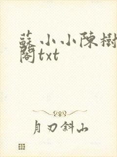 苏小小陈树笔趣阁txt