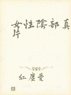 女性阴部真实照片封面