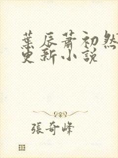 叶辰萧初然最新更新小说封面