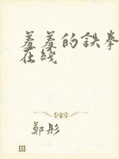 羞羞的铁拳高清在线