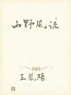 山野风流封面