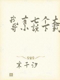 我有七个大佬哥哥小说下载