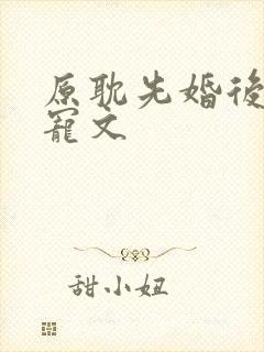 原耽先婚后爱甜宠文