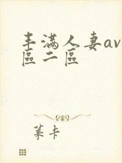 丰满人妻av一区二区