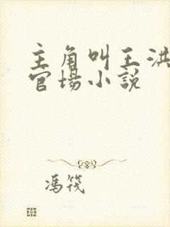 主角叫王洪涛的官场小说