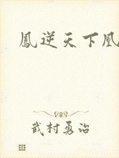 凤逆天下凰北月