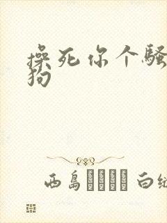 操死你个骚货母狗封面