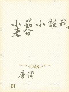 小茹小说我的狗老公