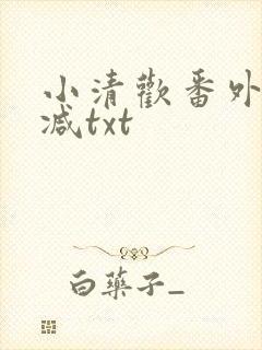 小清欢番外未删减txt封面