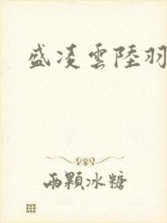 盛凌云陆羽小说封面