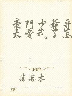 豪门少爷哥哥们太爱我了怎么办小说