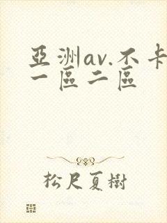 亚洲av.不卡一区二区