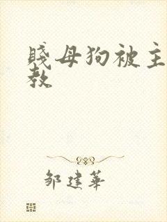 贱母狗被主人调教