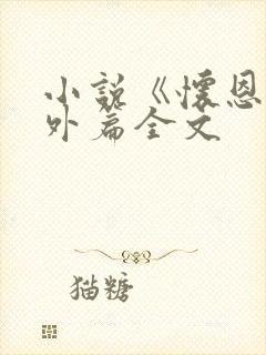 小说《怀恩》番外篇全文