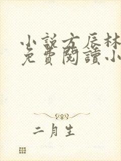 小说方辰林雪妍免费阅读小说