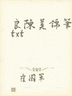 良陈美锦笔趣阁txt