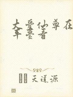 大爱仙尊在哪个平台看