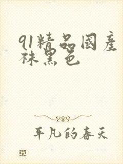 91精品国产丝袜黑色