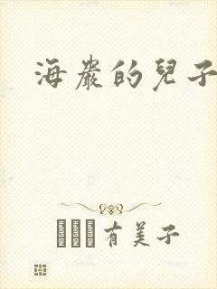 海岩的儿子