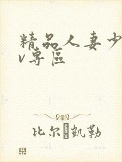 精品人妻少妇av专区