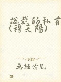 总裁的私有宝贝(穆天阳)