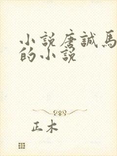 小说唐诚马玉婷的小说封面