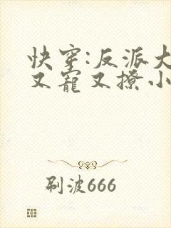 快穿:反派大佬又宠又撩小说