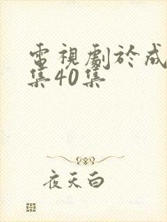 电视剧于成龙全集40集