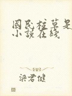 国民校草是女生小说在线封面