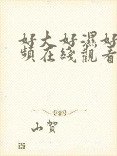 好大好湿好爽视频在线观看