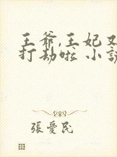 王爷,王妃又去打劫啦 小说