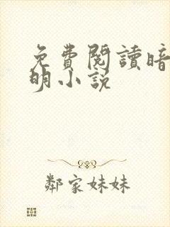 免费阅读暗河长明小说封面