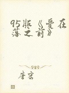 95版《爱在日落之前》封面