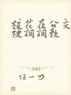 校花在公交车上被调调教