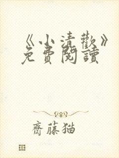 《小清欢》番外免费阅读