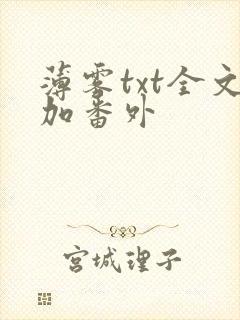 薄雾txt全文加番外