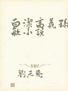 白洁高义孙倩张敏小说