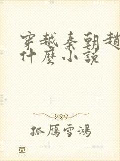 穿越秦朝赵浪是什么小说