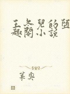 王冬儿的堕落笔趣阁小说封面