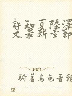 许知夏陆泽言全文最新章节免费阅读封面