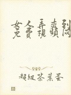 女人弄爽到高潮免费视频网站封面