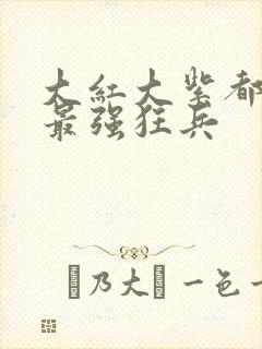 大红大紫都市之最强狂兵