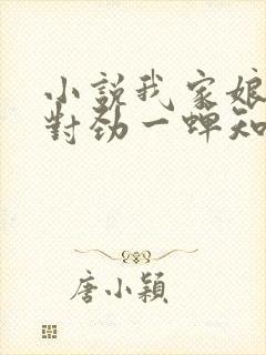 小说我家娘子不对劲一蝉知夏电子书下载