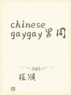 chinesegaygay男同