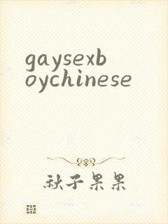 gaysexboychinese