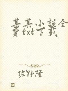 某某小说全文免费txt下载