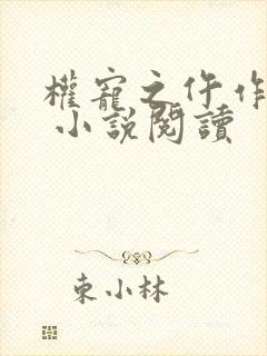 权宠之仵作医妃 小说阅读封面